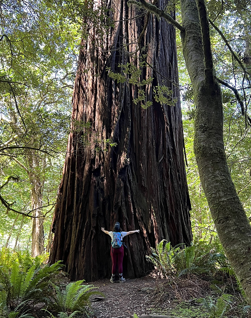 Hannah Addair Outside by Giant Sequoia Tree
