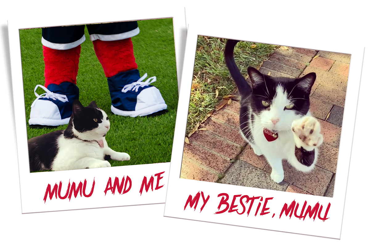 Blue and Mumu; Mumu with her paw raised