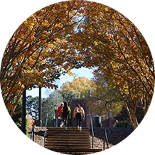 Students walking down steps on campus