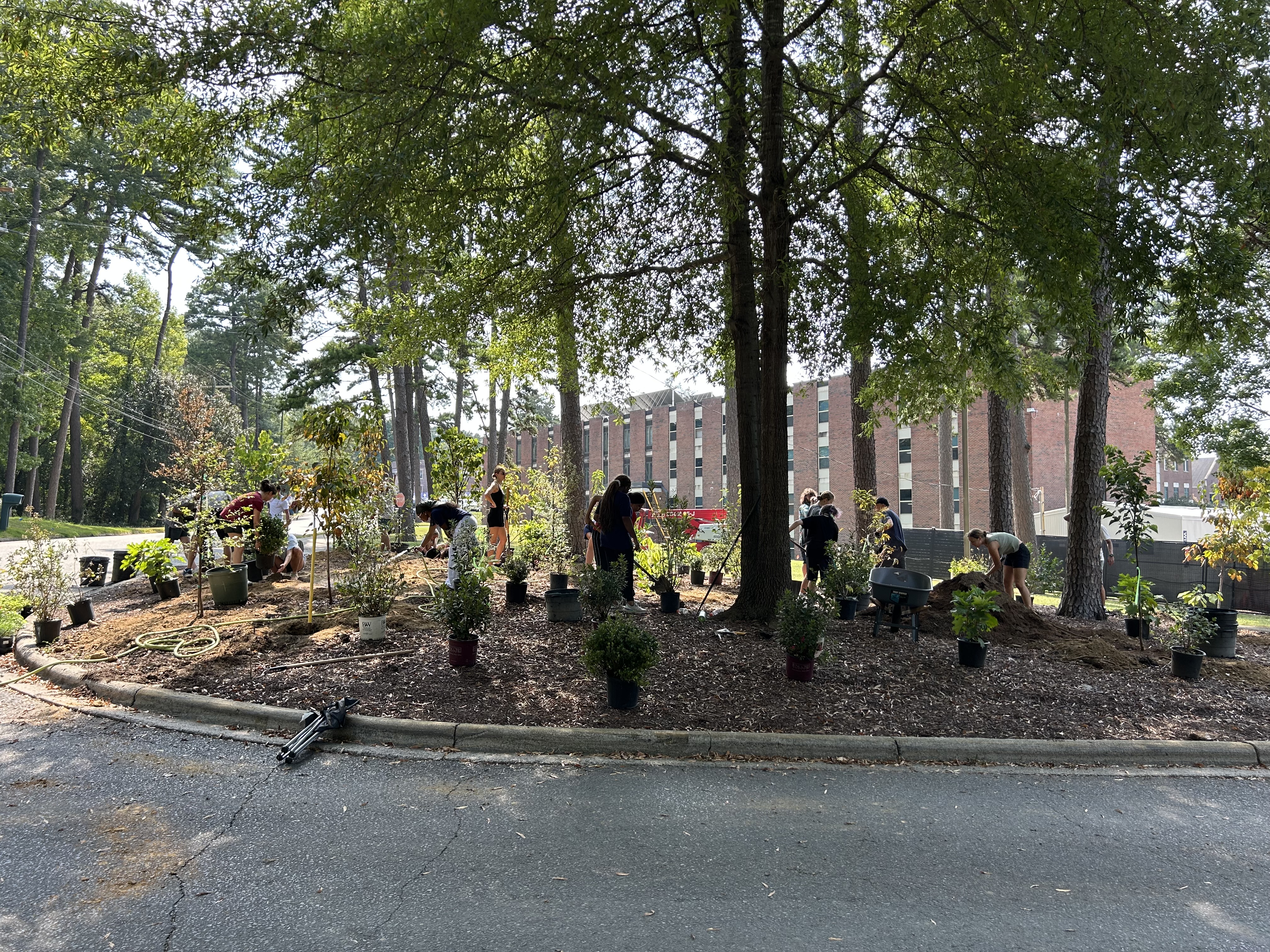 People planting the Miyawaki Mini Forest at Catawba College
