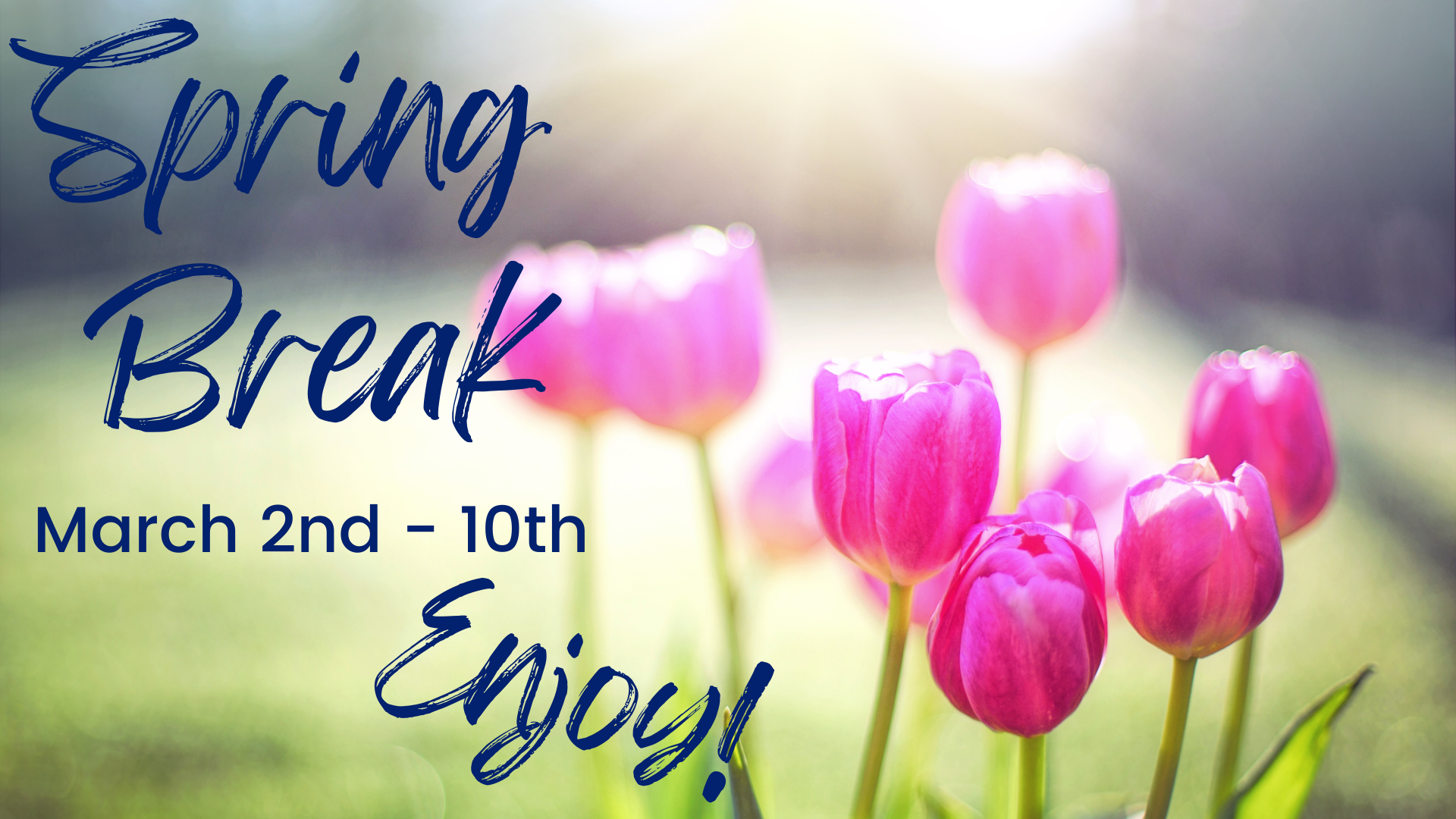 Spring Break | Catawba College