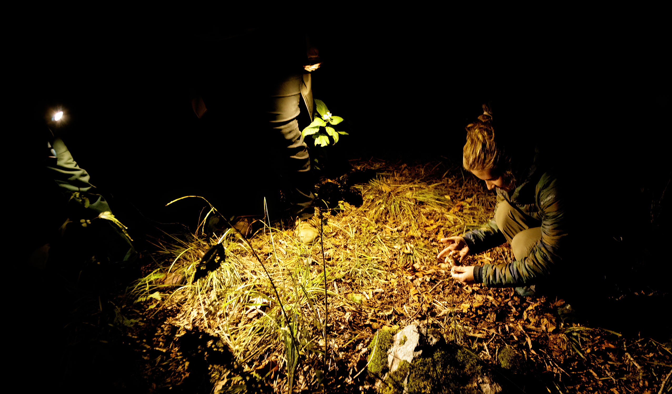 Catawba Student Larkin Gardin identifying a frog