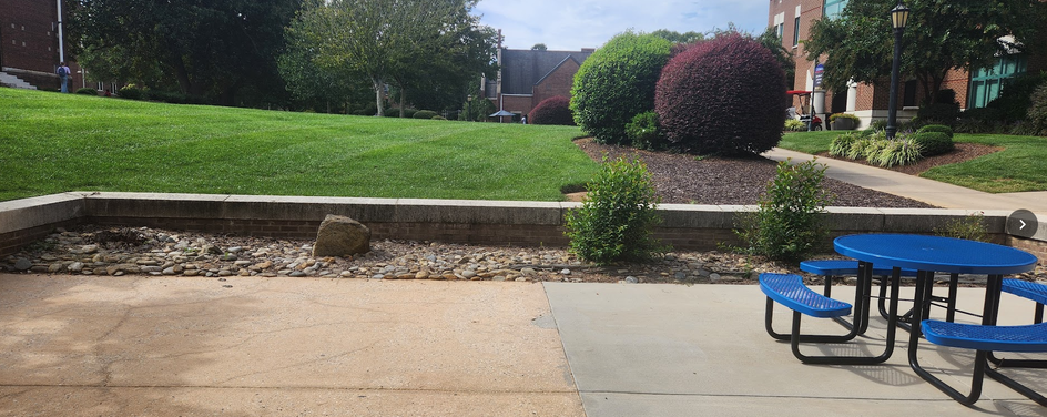 Hoke Pollinator Haven