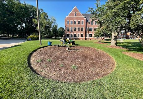 Plaza Pollinator Garden