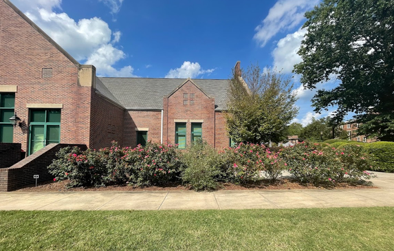 Student Affairs Edible Pollinator Buffet