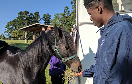Catawba College Student Caring for a Horse