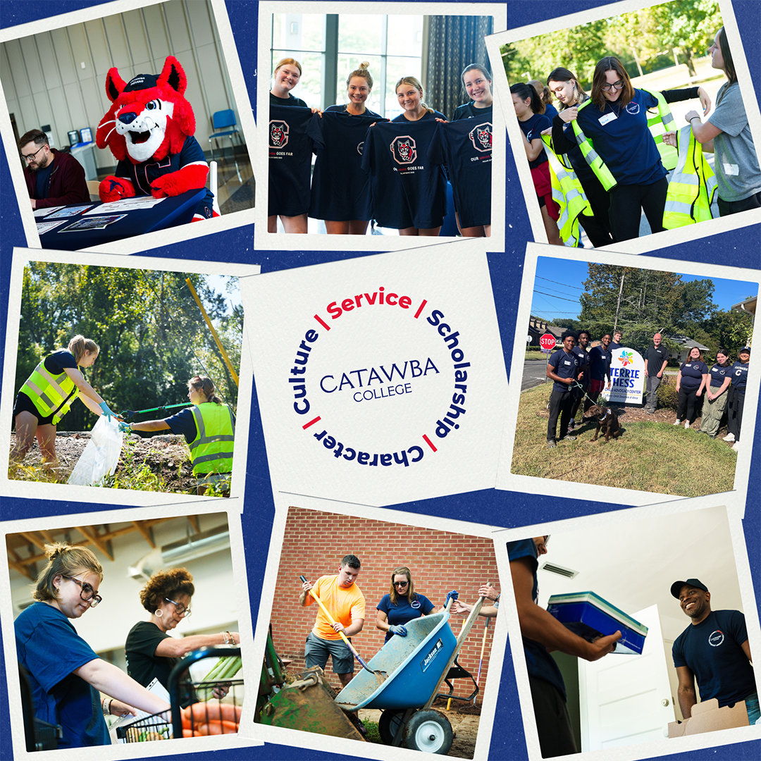 Day of Service photo collage