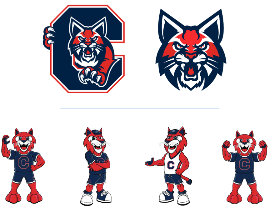 Sideline Mascot Marks